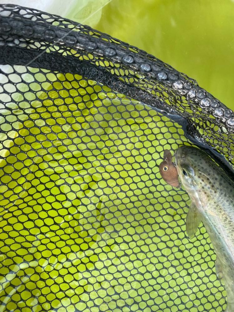 亀岡市　かめプー