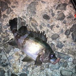 フロートメバリング