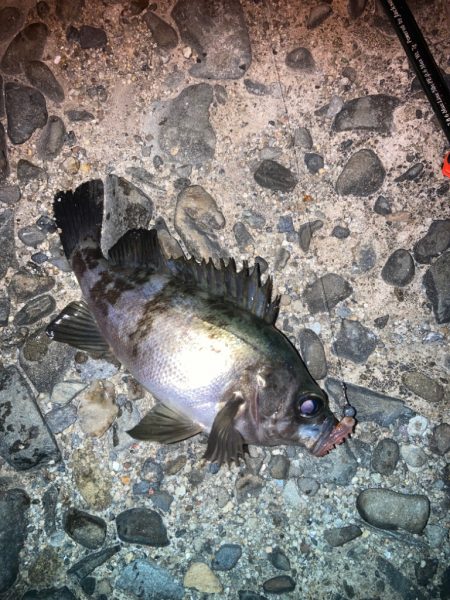 フロートメバリング