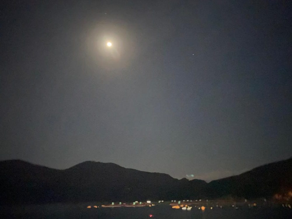 バレンタイン⭐︎アオリイカ