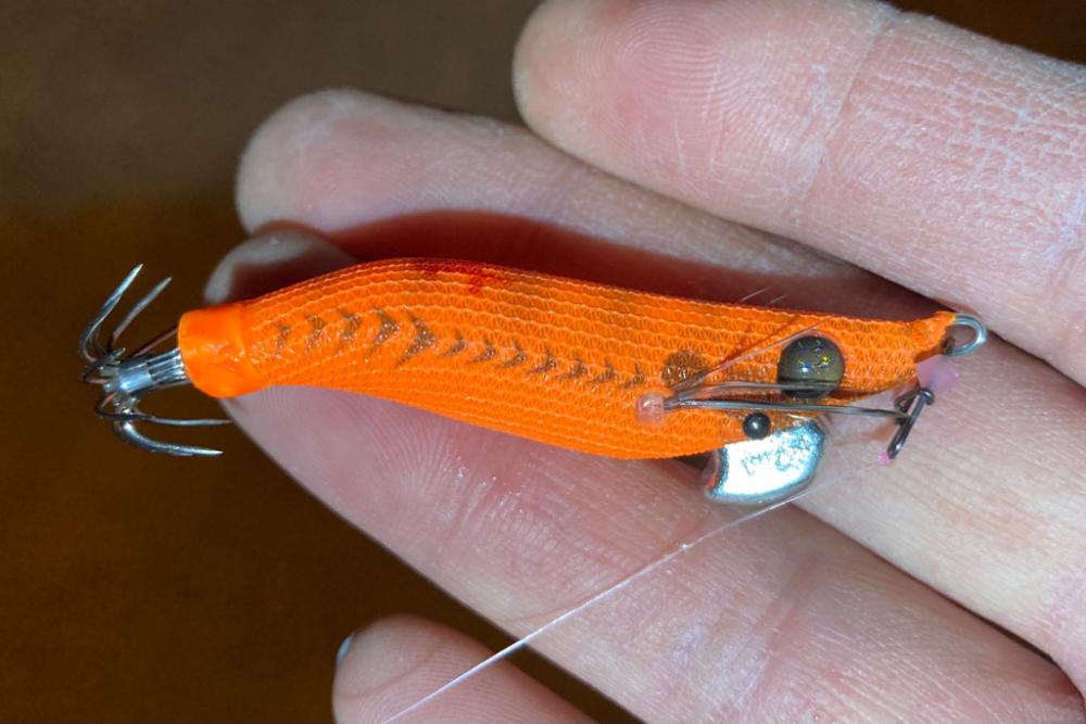 ヒイカおった、おった(^^)