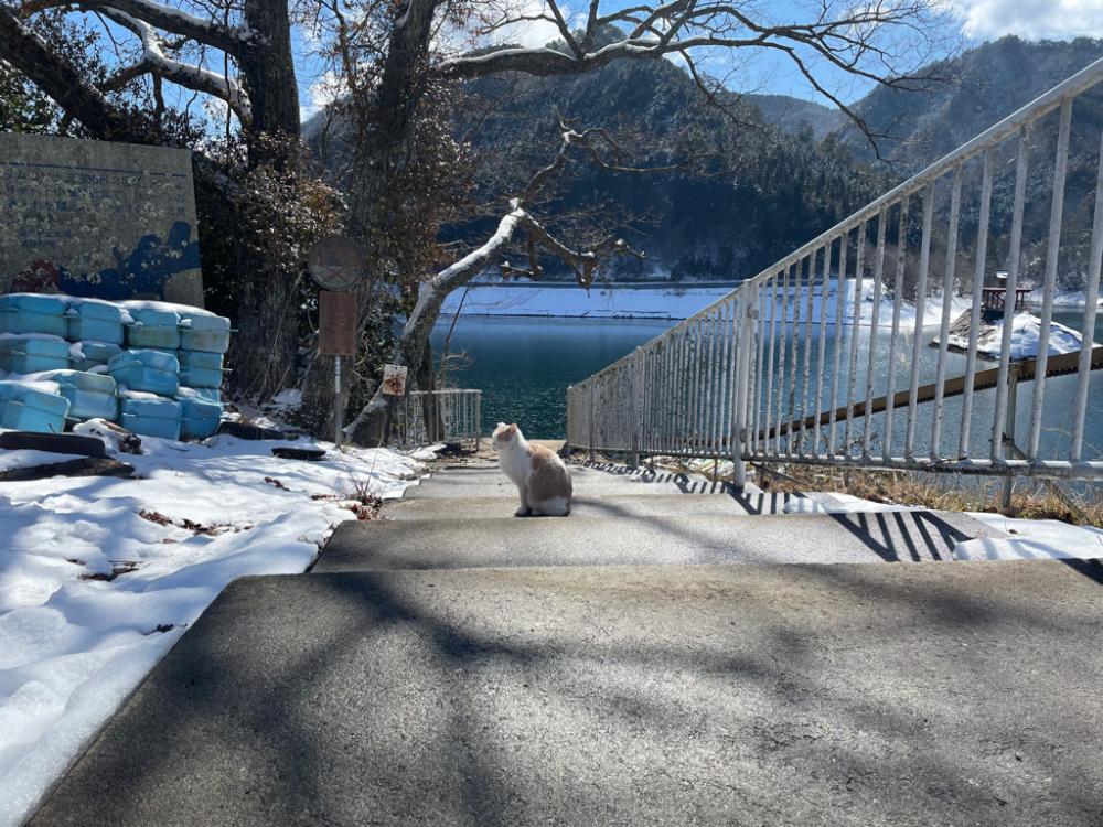 ワカサギ釣りにハマる 生野銀山湖