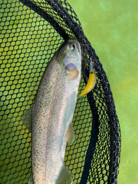 土日明けの月曜日エリアトラウト  かめプー…