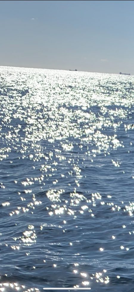 寒グレは難しい(；；)