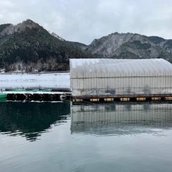 タックルを揃えて生野銀山湖へワカサギ釣りへ