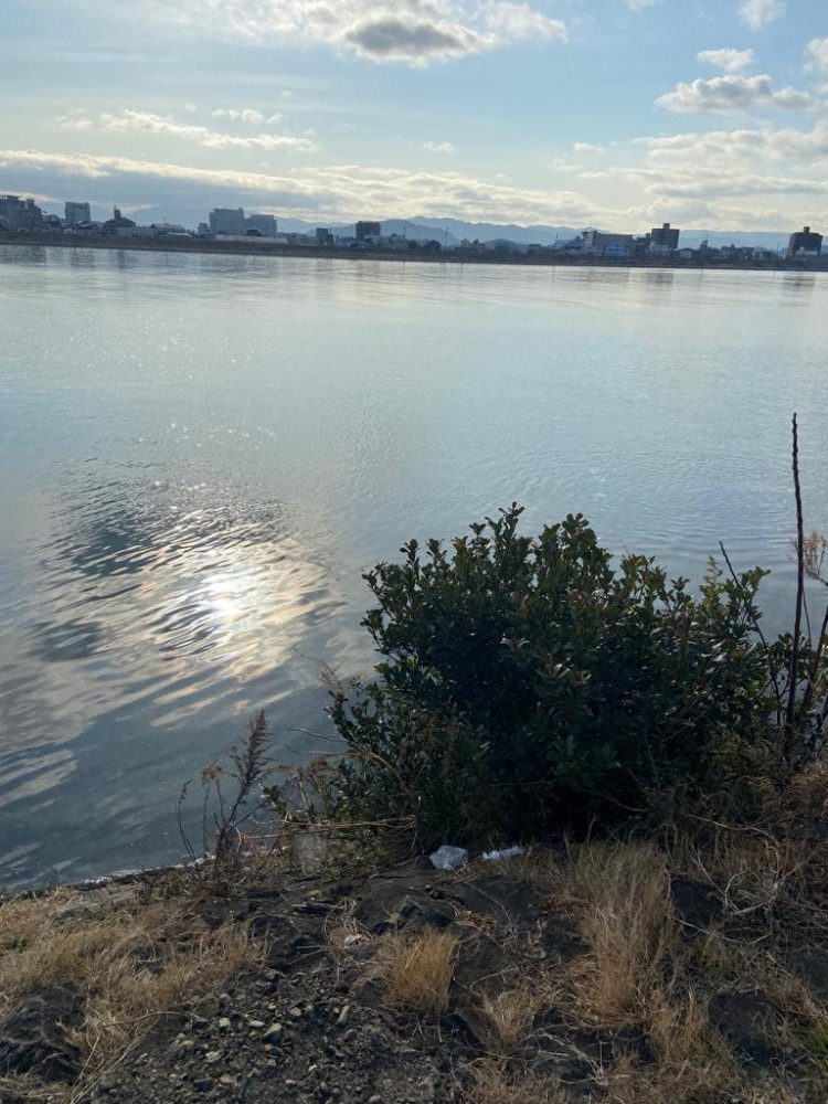 ちょい痩せシーバス