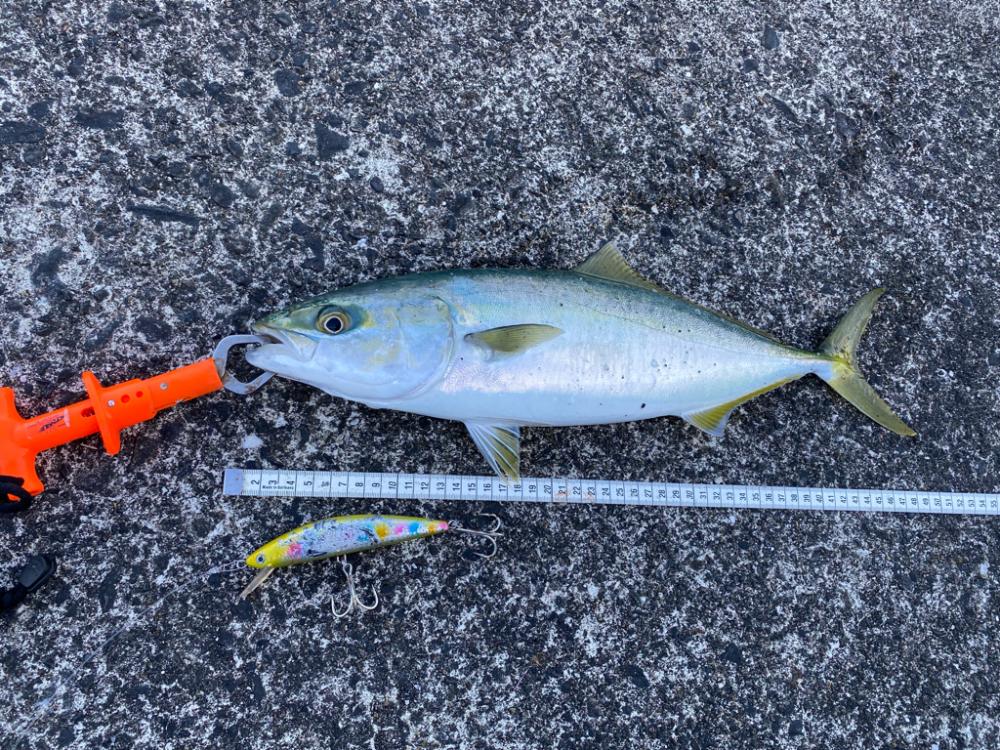 万次郎のポテンシャル