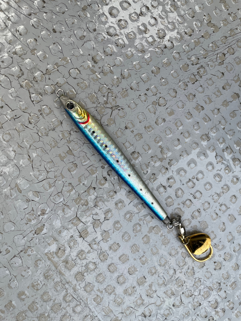 サワラ タチウオ便