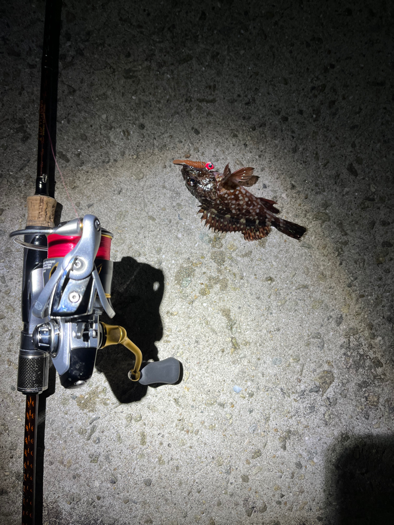 癒しのメバリング