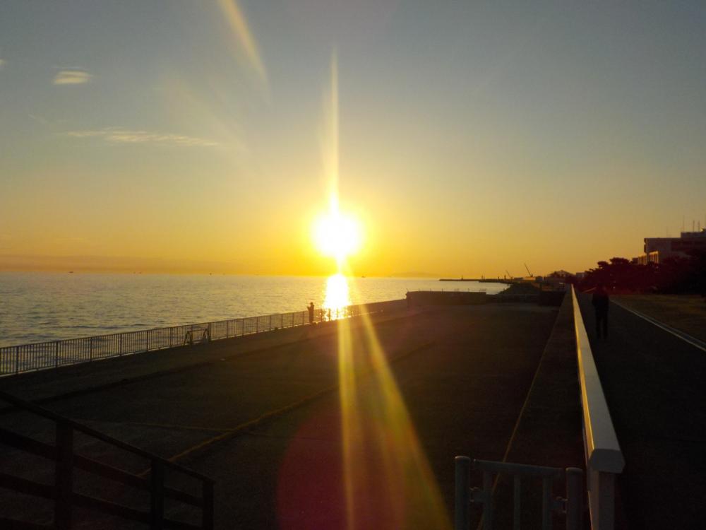 ナイトゲーム3目