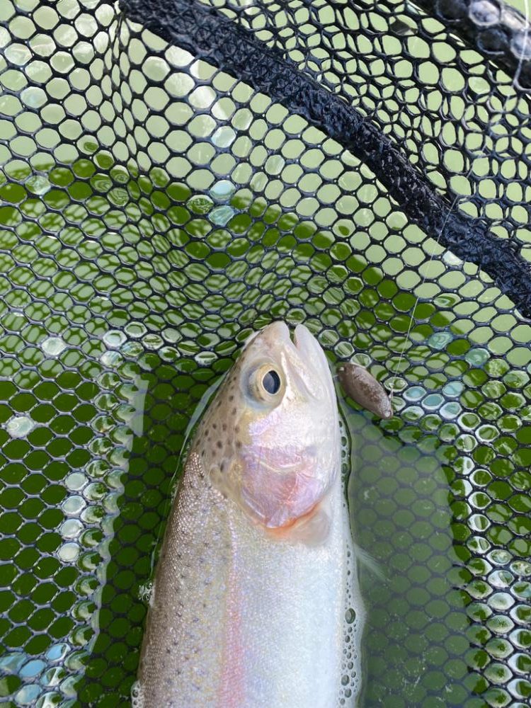 服部緑地攻略戦線