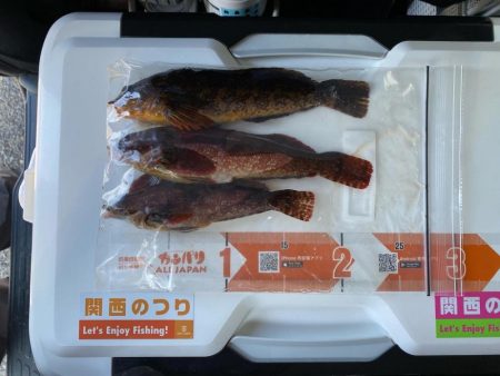 花見カレイ、アイナメ、五目釣り