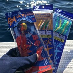 この寒い時こそ鯛乃実TGハイブリッドとタイラバサビキ