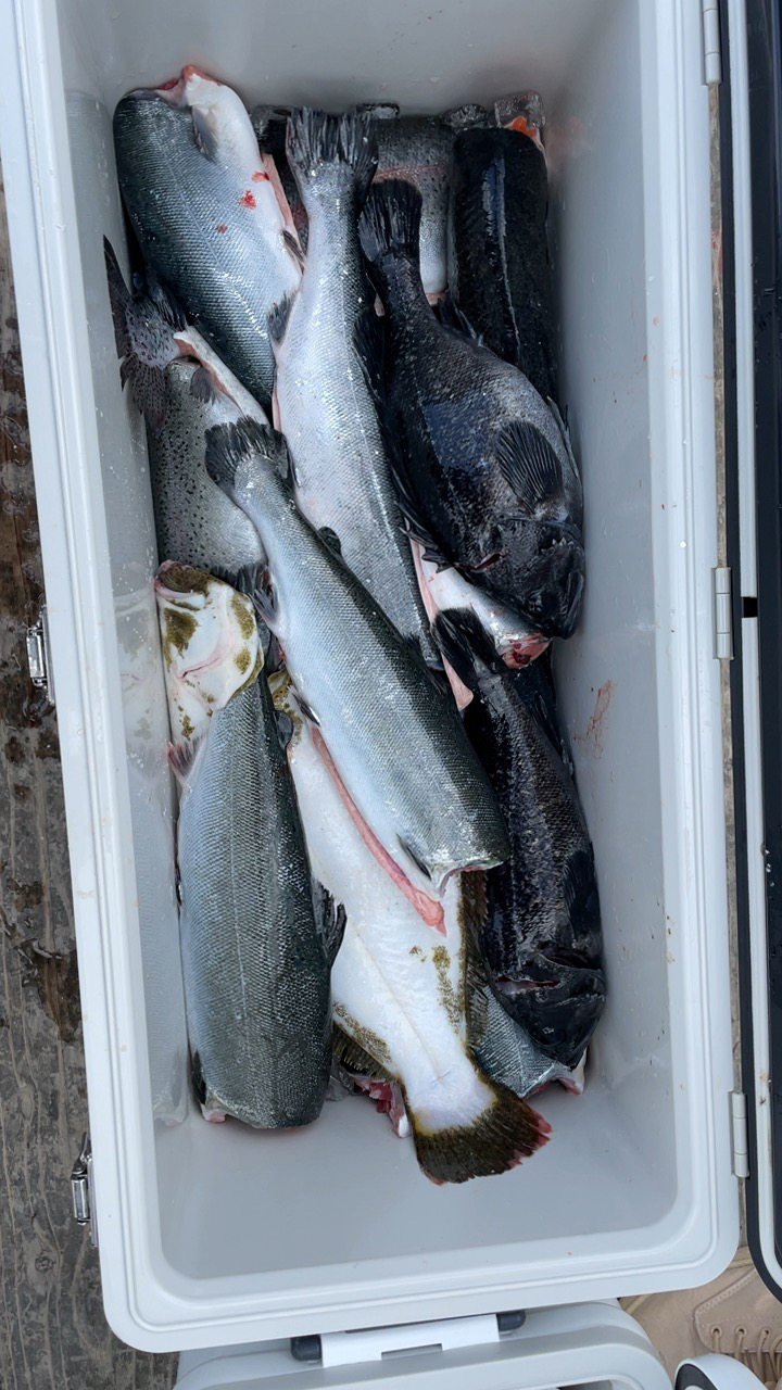 釣堀海恵の釣果