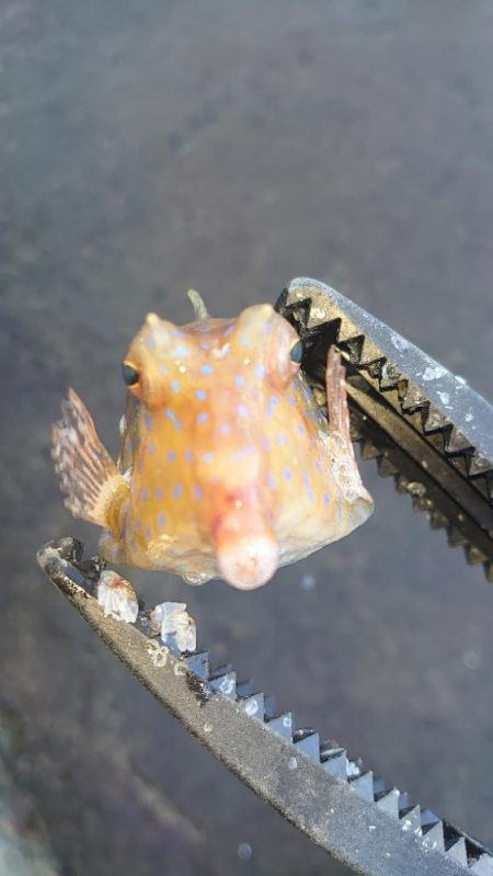 周りが釣れていない中で