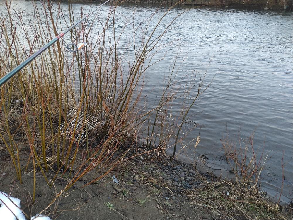 サクラマス釣行で80センチオーバー