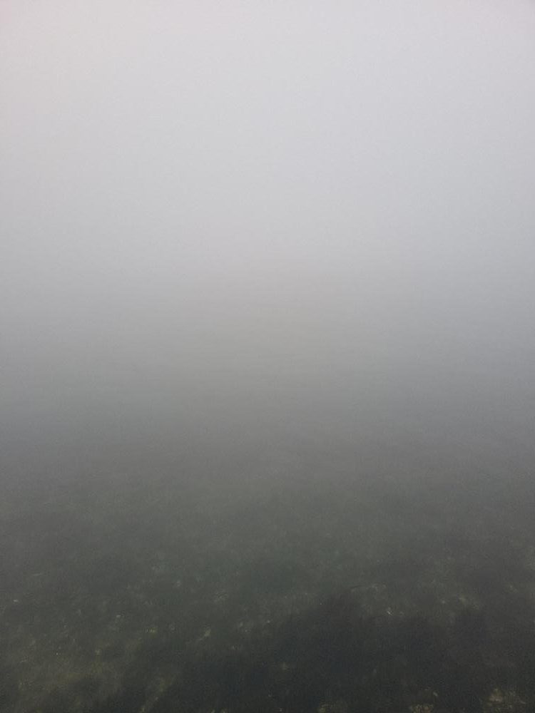 久しぶりのホーム