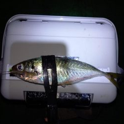 北西風を避けて