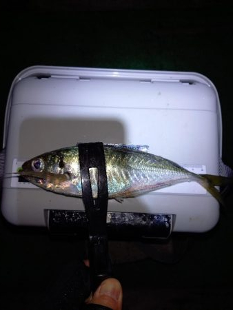 北西風を避けて