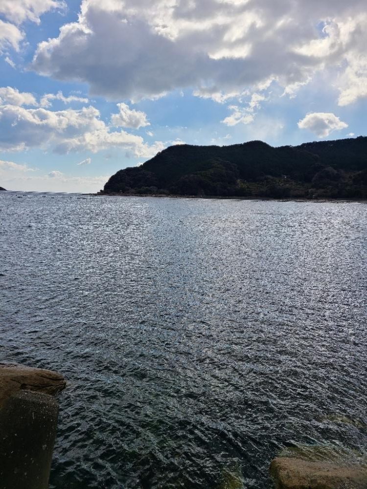 ガッシーは好調