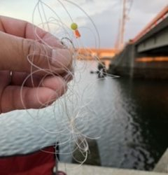 清掃活動：吹雪の中でもチヌ