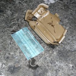 清掃活動：メバル寒し