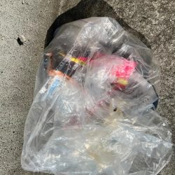 清掃活動：春のノッコミスタート！？