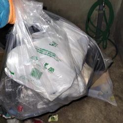 清掃活動：メバリング