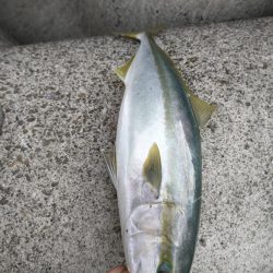 ノマセで90オーバーブリ