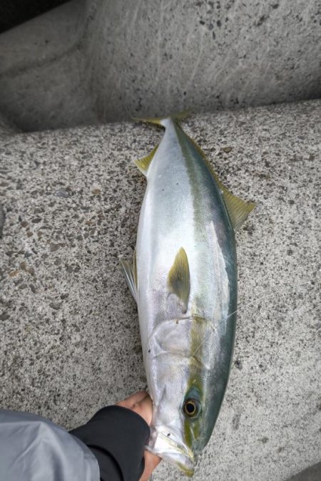 ノマセで90オーバーブリ