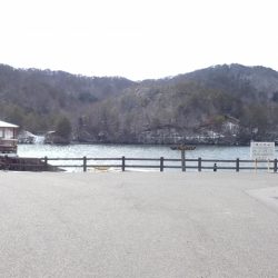 フィッシングレイクたかみや 釣果