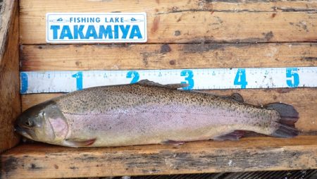 フィッシングレイクたかみや 釣果