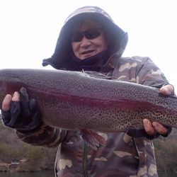 フィッシングレイクたかみや 釣果