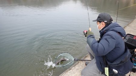 フィッシングレイクたかみや 釣果