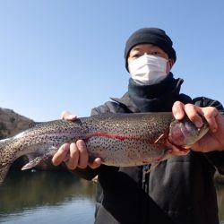 フィッシングレイクたかみや 釣果