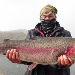 フィッシングレイクたかみや 釣果