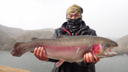 フィッシングレイクたかみや 釣果