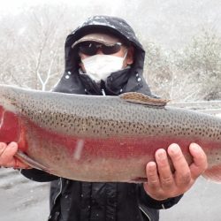 フィッシングレイクたかみや 釣果