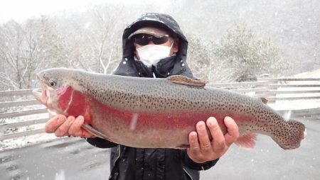 フィッシングレイクたかみや 釣果