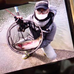 フィッシングレイクたかみや 釣果