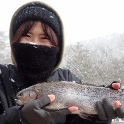 フィッシングレイクたかみや 釣果