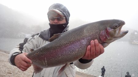 フィッシングレイクたかみや 釣果