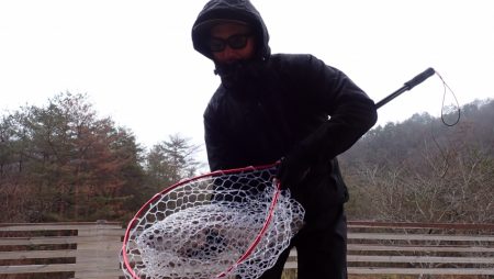 フィッシングレイクたかみや 釣果