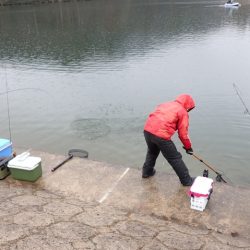 フィッシングレイクたかみや 釣果