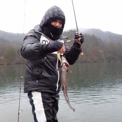 フィッシングレイクたかみや 釣果