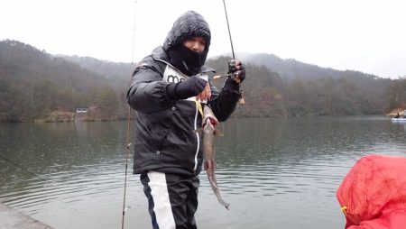 フィッシングレイクたかみや 釣果