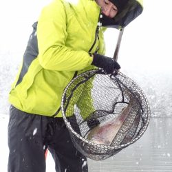 フィッシングレイクたかみや 釣果