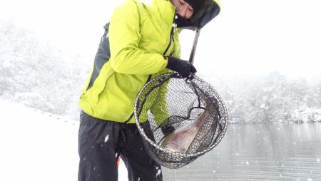 フィッシングレイクたかみや 釣果