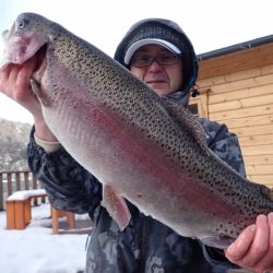 フィッシングレイクたかみや 釣果