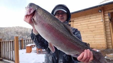 フィッシングレイクたかみや 釣果